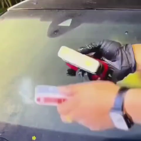 Încarcă clipul video: 